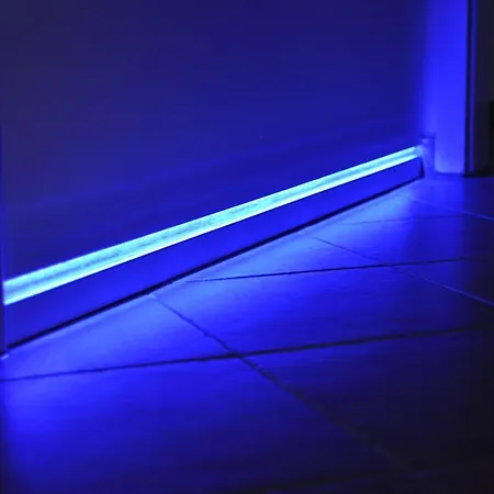 Nordsternchen Daire Winterberg