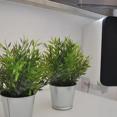 Daire Nordsternchen *